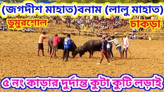 ৫ নং জগদীশ মাহাতর কাড়ার থাসাথাসি লড়াই ডুমুরশোল আসরে #puruliakaralorai #video