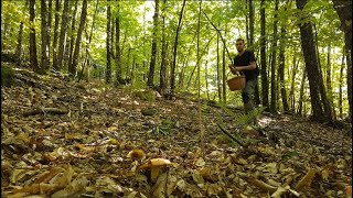 Disfrutando de la micología en este hermoso bosque