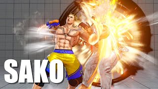 とっておきを叩きこむ Sakoルーク　Sako(Luke) VS Dan, Zeku, Kage, Falke, Ryu【スト５】