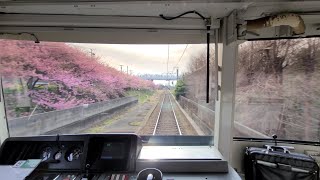 【河津桜】京急久里浜線 三浦海岸～三崎口 前面展望 2021年