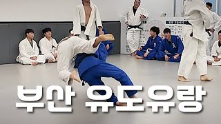 부산 유도유랑기! (일광명문유도관) #judo #vlog #브이로그