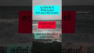 2024.08.28 අද මීගමුවේ තොග මාළු මිල ගණන් දැන්ම බලන්න #fish #fishprice #market #price