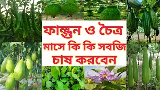 ফাল্গুন-চৈত্র মাসে কি কি সবজি চাষ করা যায় এবং সবজি চাষের সুবিধা অসুবিধা- গ্রীষ্মকালীন সবজি চাষ।