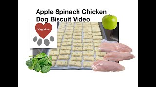 Homemade DIY Dog treats Chicken Apple Spinach