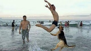 Funny Moments Of The Year Compilation 😆🔥🐷 Try Not To Laugh | Funniest Videos 2022 😆🔥