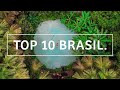 10 TRIPS TO EXPLORE BRAZIL IN 2023