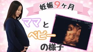 妊娠9ヶ月♡ママと赤ちゃんの様子を見てみよう