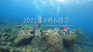 【珠や潜水】八丈島 ナズマド 2022年8月6日