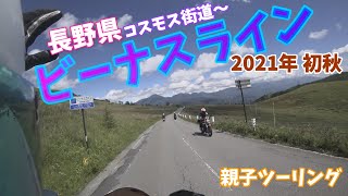 2021年初秋・コスモス街道～【ビーナスライン】へ親子ツーリング「モトブログ」ぐり太郎 SUZUKI GSF1200＆HONDA XELVIS（ゼルビス）【油冷 Bike Channel】山梨➡長野