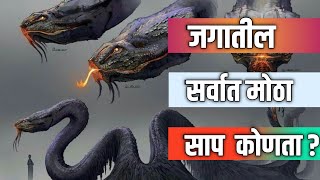 जगातील सर्वात मोठा साप.| The Amazing Fact About World's Most Giant Snake Species.