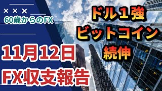 年金まで、あと５年　60歳からのFX　2024年11月12日　収支報告　負け続けても、更にドル円ショート！　暴落　FX　大損　FXロスカット　金　ビットコイン　トルコリラ　FOMC