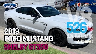 BCD新入庫 ! 絶版希少！2019年モデル フォード マスタング SHELBY GT350