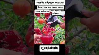 #একটা #মহিলা #কে #আরশের #আসসালামু_আলাইকুম #ইসলামিক_ভিডিও