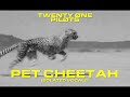 twenty øne piløts - Pet Cheetah (Isolated Vocals)