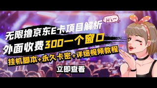 最新无限撸E卡自动挂机项目，号称日入500元（一）