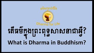 តើធម៌ក្នុងព្រះពុទ្ធសាសនាជាអ្វី What is the Dharma in Buddhism