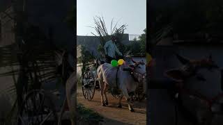 bondalapally sankranti festival in 2021