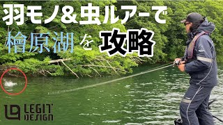 【バス釣り】新パターン！羽モノルアーでスモールマウスバス攻略！【高梨洋平】【桧原湖】