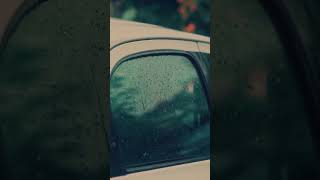 Embracing the Rain: Captivating Moments of the Rainy Season