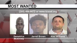 Tuscaloosa's Most Wanted: Nov. 24, 2021