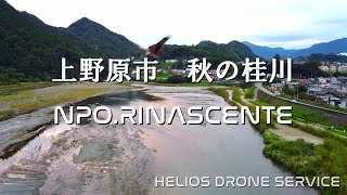 山梨県　上野原市　秋の桂川　ドローン動画