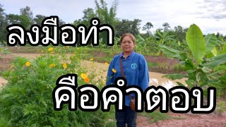 ลงมือทำคือคำตอบ@กิ่งเพชรวนเกษตร