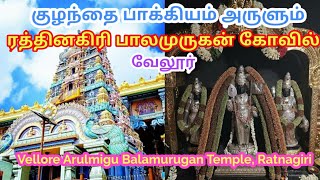 Vellore Arulmigu Balamurugan Temple, Ratnagiri /அருள்மிகு பாலமுருகன் திருக்கோயில், ரத்தினகிரி,வேலூர்