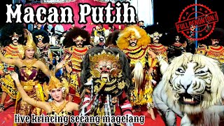 JARAN KEPANG MACAN PUTIH penonton penuh..!! || live krincing secang magelang