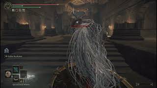 Elden Ring - Use Gurranq Beast Clergyman to beat Black Blade Kindred