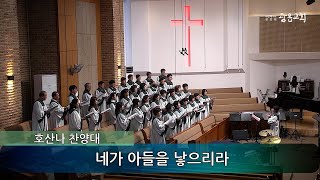 네가 아들을 낳으리라 - 광음교회 호산나찬양대 (2024.12.22)