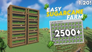 MINECRAFT 1.20+ AUTOMATIC SUGAR CANE FARM / EASY EFFICIENT SUGAR CANE FARM PER HOUR 2500+ (JAVA+PE)