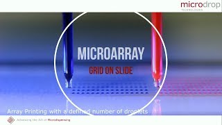 Grid on Slide - microarray printing