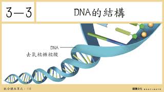 108選生一 3-3DNA 的結構