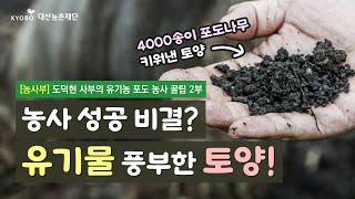 [농사부] 🍇 #도덕현 사부 (2) 4000송이 포도 농사 비결은? 유기물 풍부한 토양 만들기!