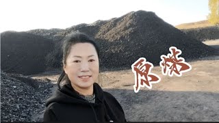 存放原煤的貨場上有多少卡的原煤？ 最近漲價了現在賣多少錢一噸| 春望田園