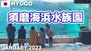 【兵庫】須磨海浜水族園(本館)を歩く2023 リニューアルのため5月31日に閉園 Suma Aqualife Park Walking Tour, Hyogo, Japan