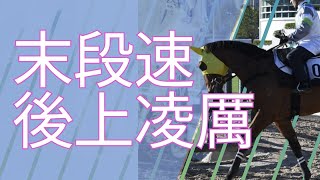 分段時間見實力 末段極速拼一席｜1月19日 第七場三班1400米｜谷草夜賽｜24-25 賽季 #布文 #巴度 #蔡約翰 #小飛俠