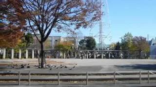 東京メトロ　千代田線　始発　綾瀬駅　周辺環境