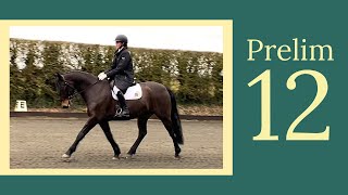 PRELIM 12 DRESSAGE TEST | British Dressage