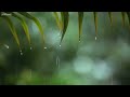 You & Me Relaxing Piano Music & Soft Rain Sounds For Sleep & Relaxation by Peder B. Helland