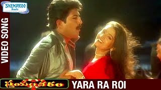 Swayamwaram Telugu Movie Songs | Yara Ra Roi Full Video Song | Venu | Laya | Shemaroo Telugu