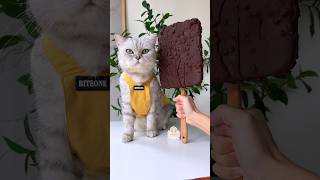 🤩The cat chef made the biggest ice cream! #catofyoutube #food #catcookingfood #asmr #Ice cream