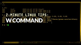 How to use the W command