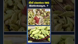 టీలో యాలకులు కలిపి తీసుకుంటే ఏమవుతుంది..? | What Happens Cardamom with Tea? | PM7 Life