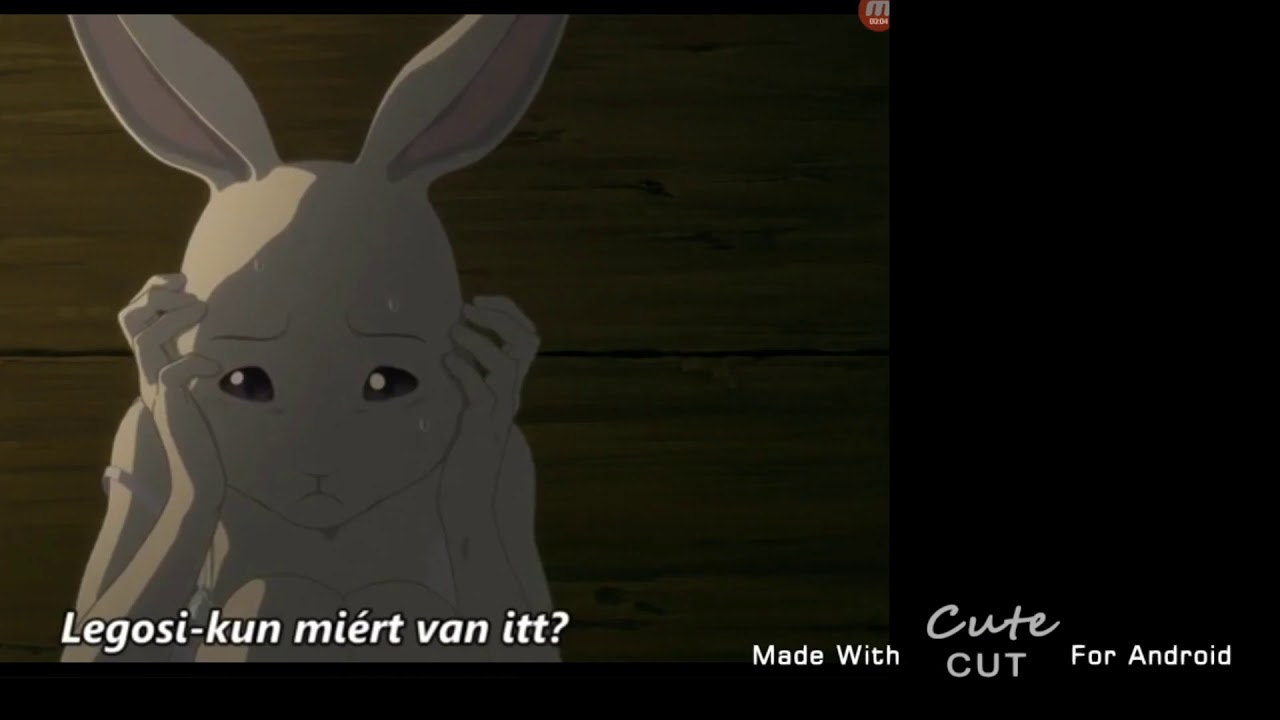 Beastars Haru Edit Youtube