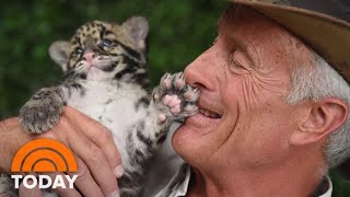 Animal Expert Jack Hanna Diagnosed With Dementia | TODAY