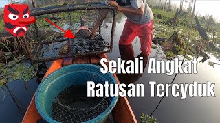 BAHKAN ULAR ULAR PUN IKUT BERPESTA IKAN SUNGAI #274