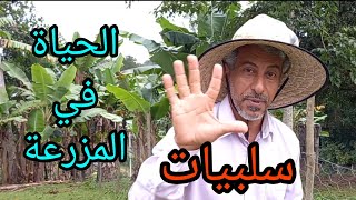 الحياة في المزرعة 5 سلبيات للعيش في المزارع