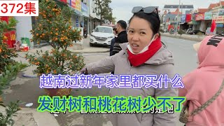 越南媳妇骑摩托车载我去镇上买一颗发财树装扮家里，安装好以后一下就有年味了。