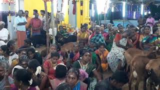 Panankulam Shree Durgai Amman Shree Esaki Amman Kovil Festival 2024